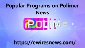 Polimer News Live